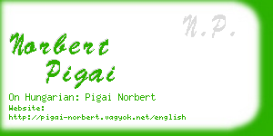 norbert pigai business card